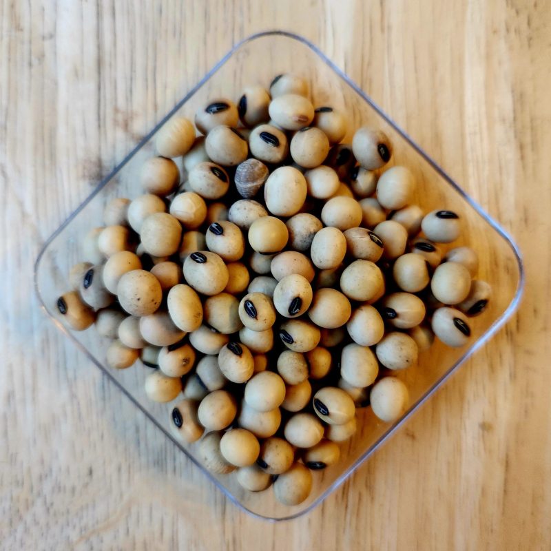 Porotos de Soya Aysen