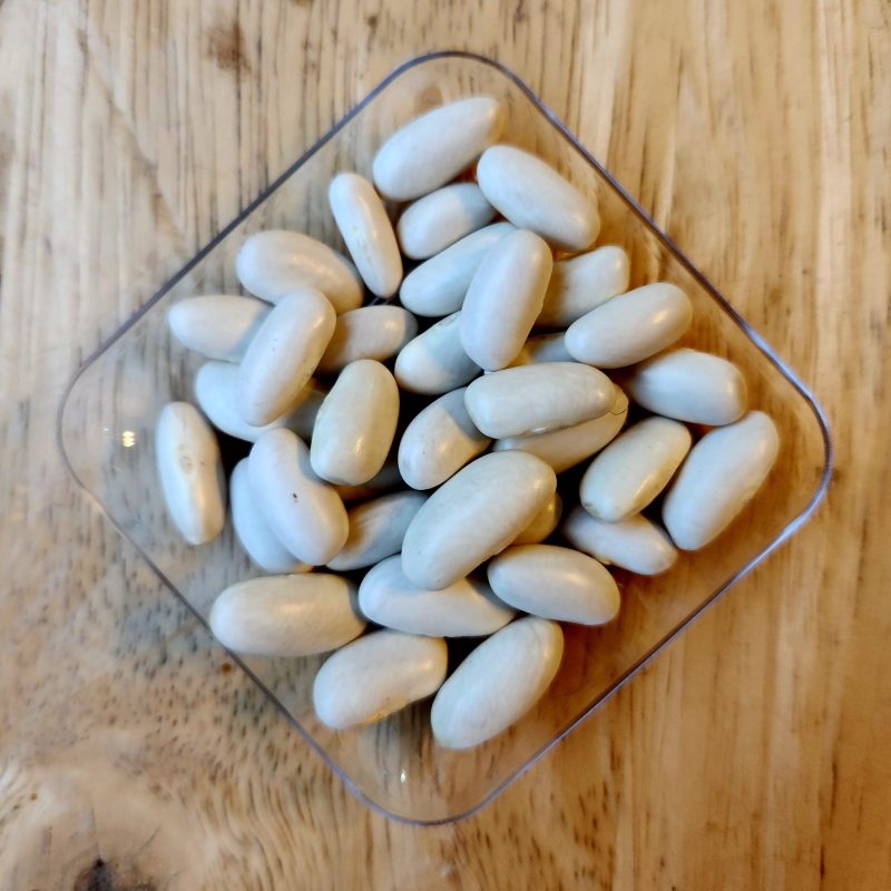 Porotos Blancos Aysen