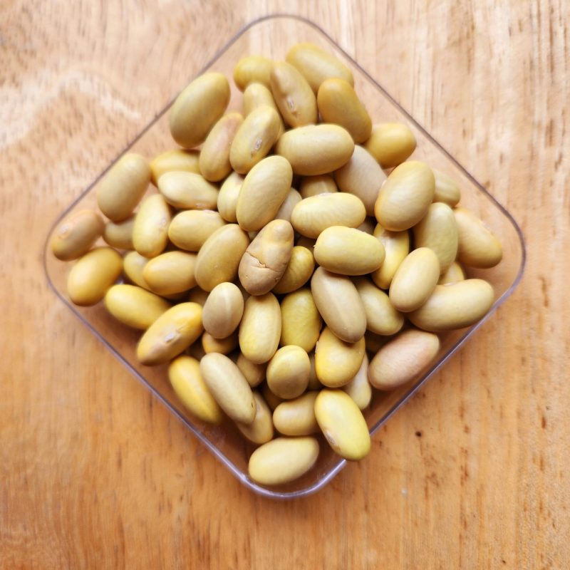 Porotos Canario Aysen