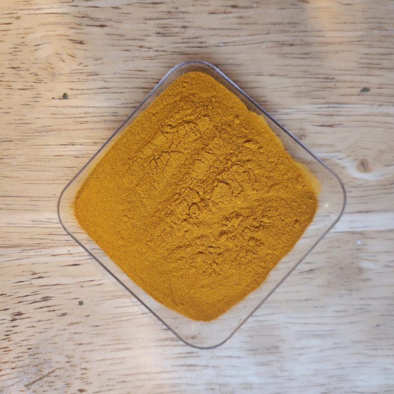 Curcuma en Polvo Aysen