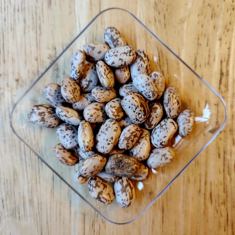 Porotos Pinto o Hallados Aysen