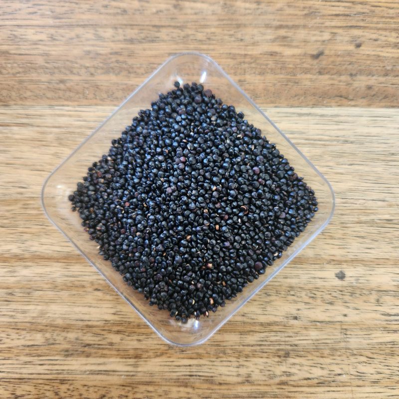 Quinoa Negra Aysen